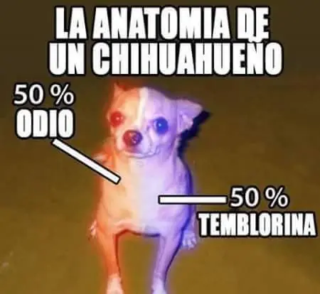 imagenes