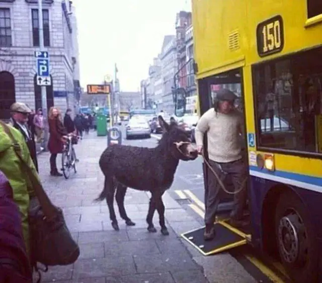 lo mas raro que veras hoy