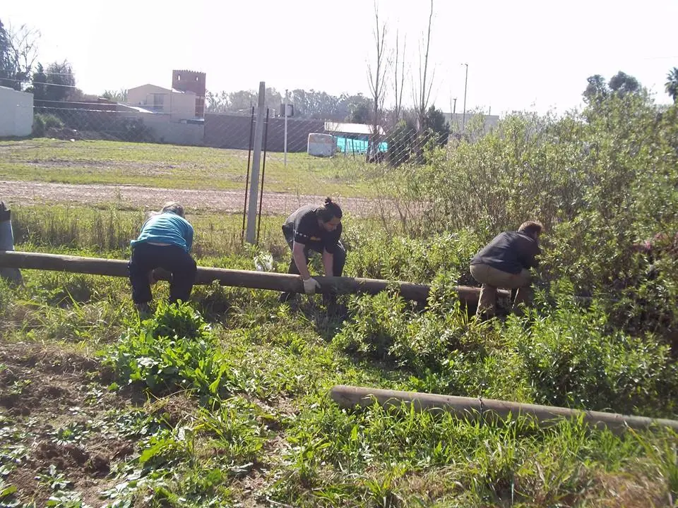 Bioconstruyendo (3ra parte.)