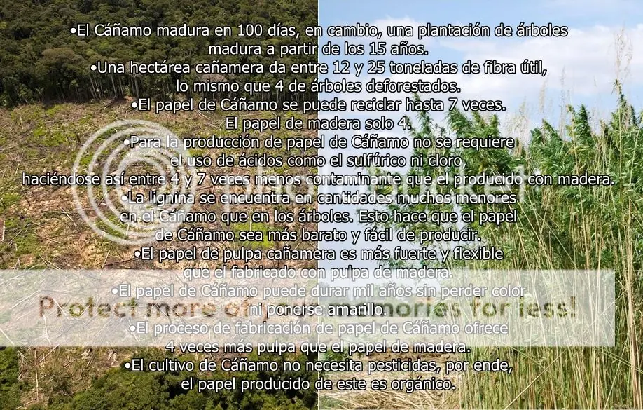 soja