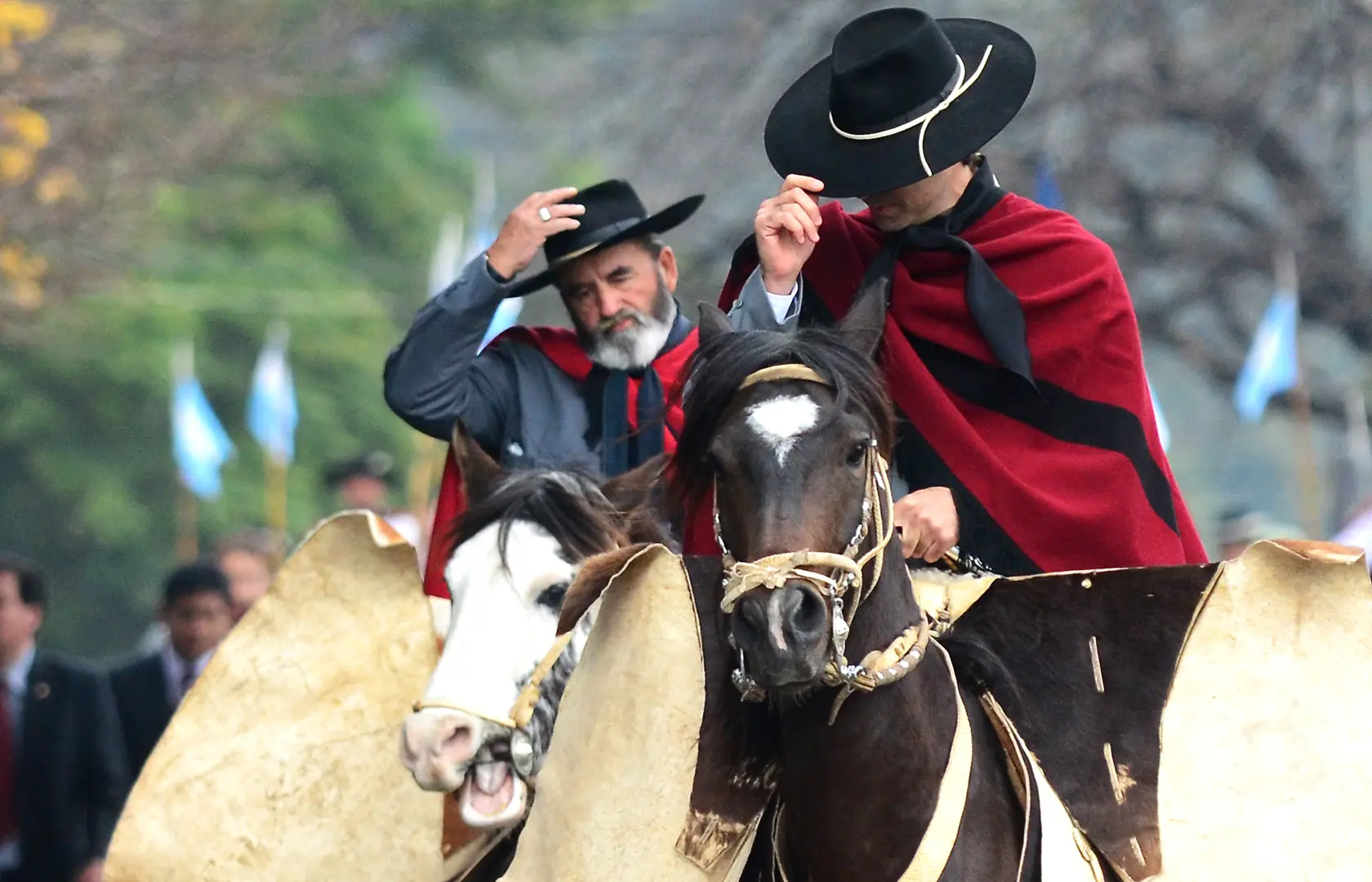 patria