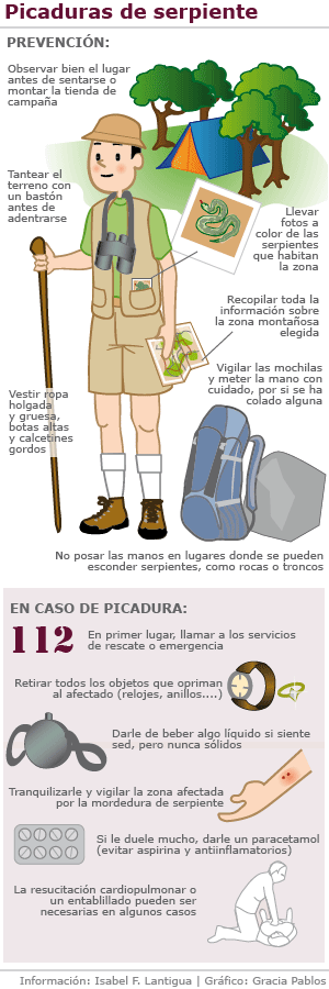 que hacer que hacer