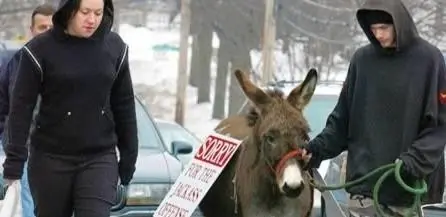 Lince mira estas condenas Absurdas