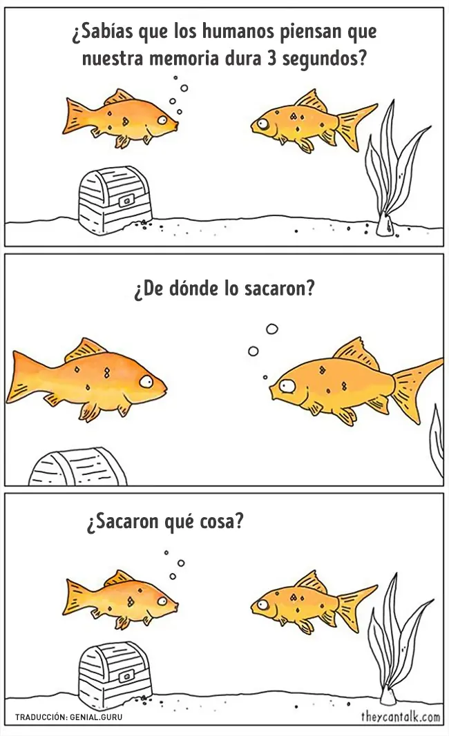muestran