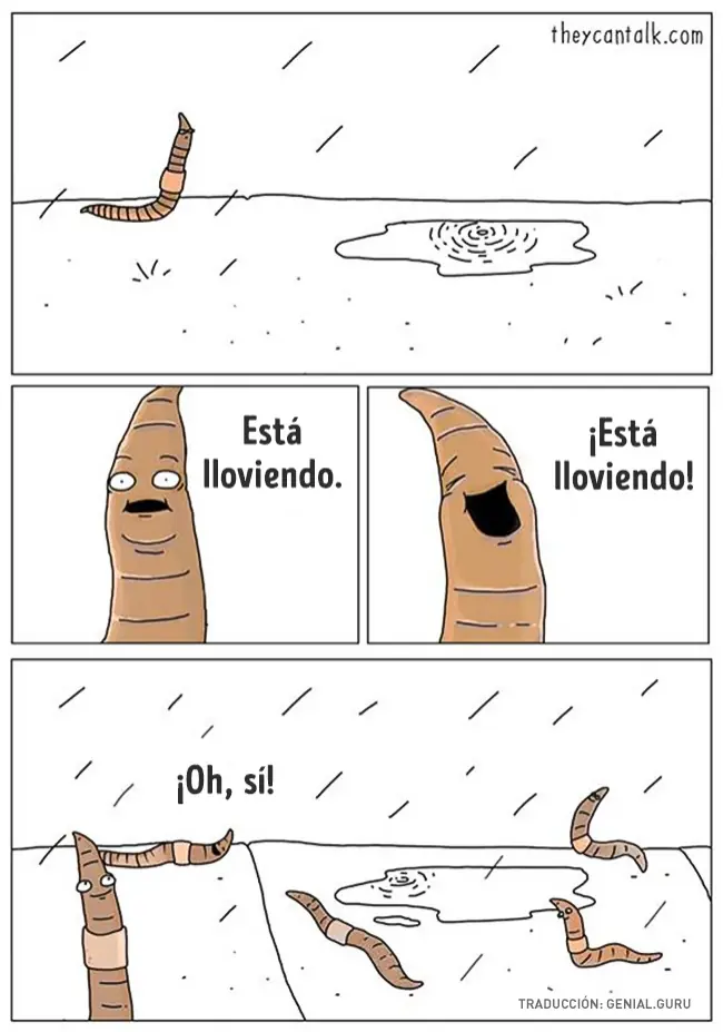 animales