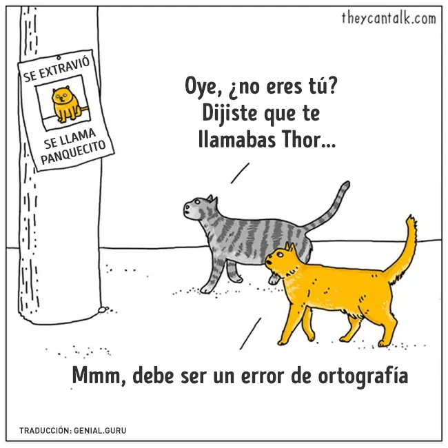 humor