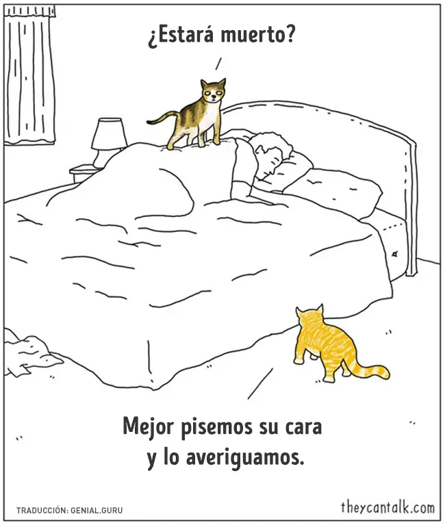 muestran