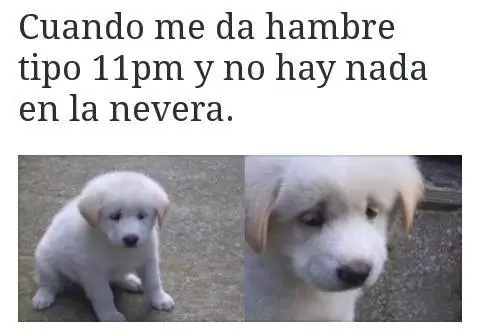 humor
