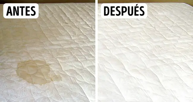 detergente