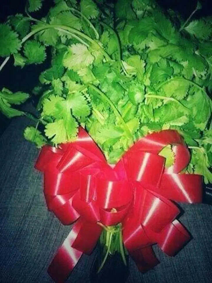 regalo