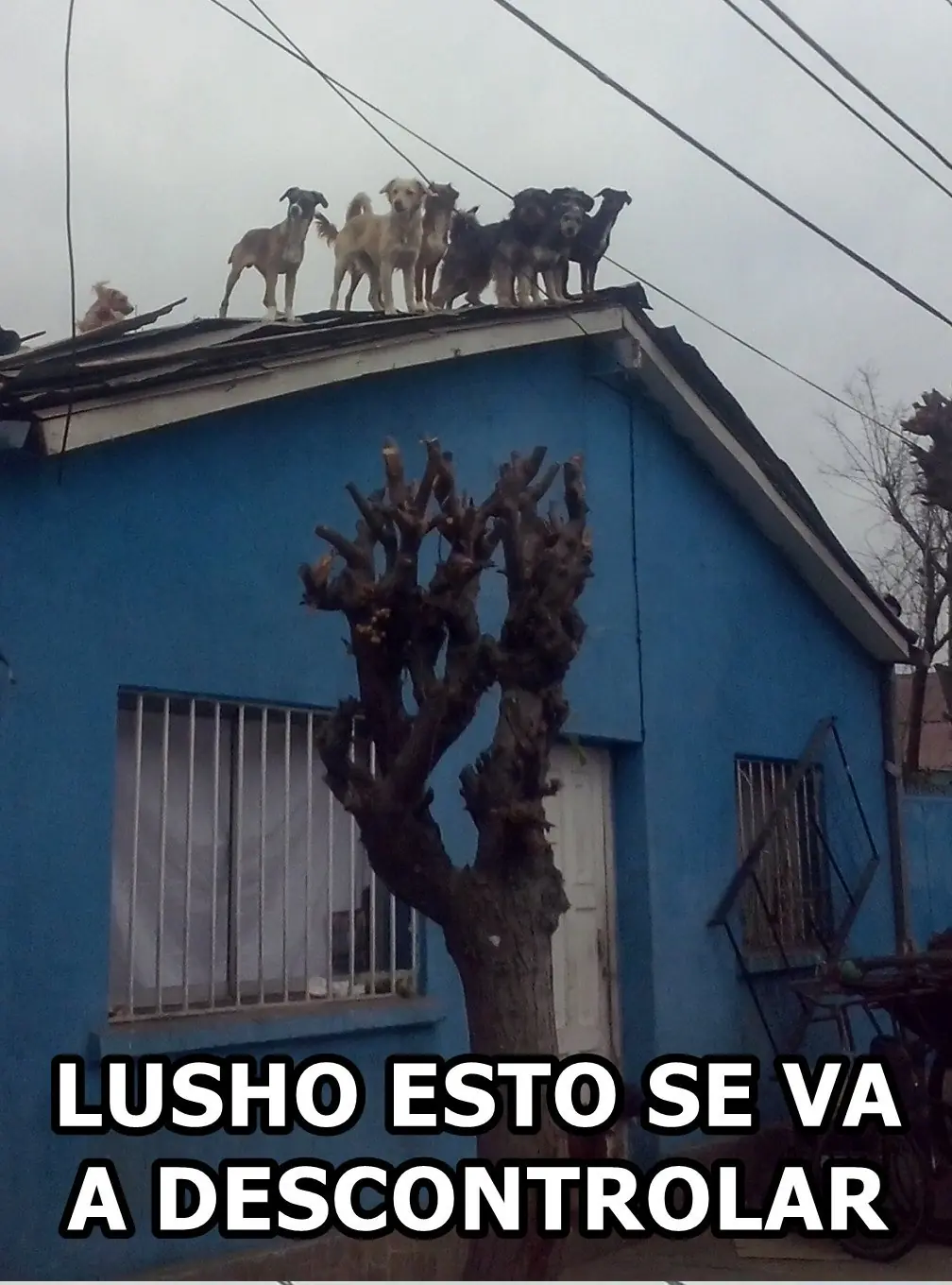 techo