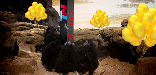 Shout Gif