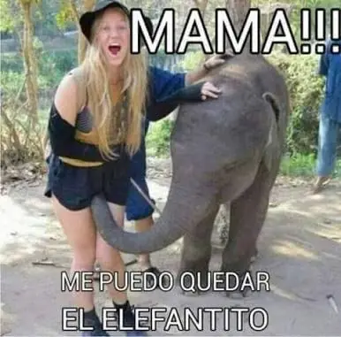 HUMOR CON IMAGENES