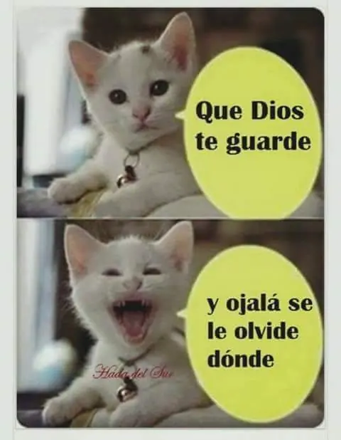 HUMOR