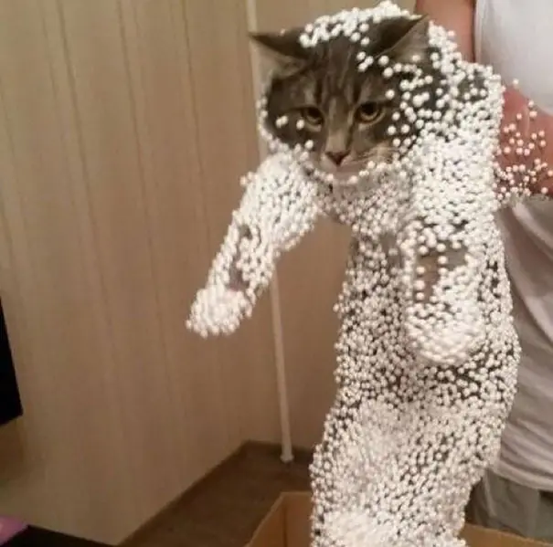 peludo