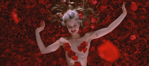 american beauty