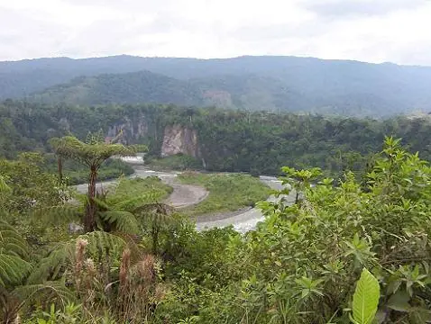 naturaleza