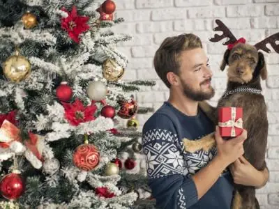 El espíritu navideño se encuentra en el cerebro