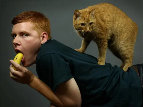He visto peores fotos,de hombres con sus gatos.