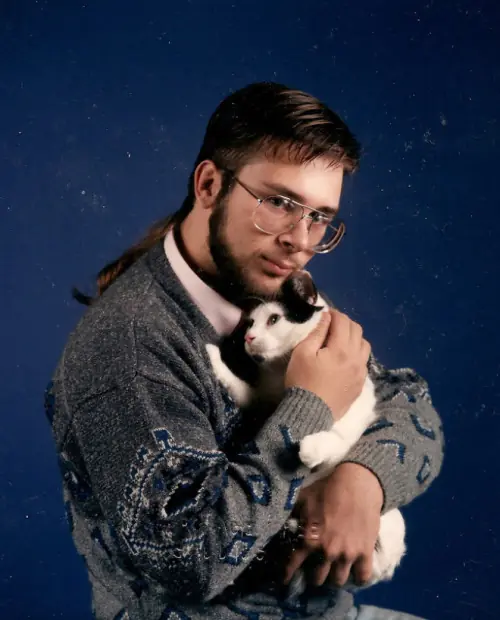 gatos