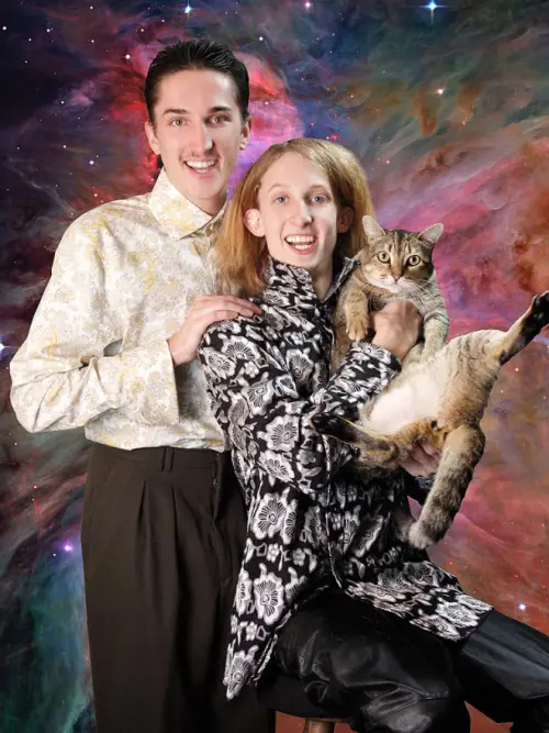 gatos