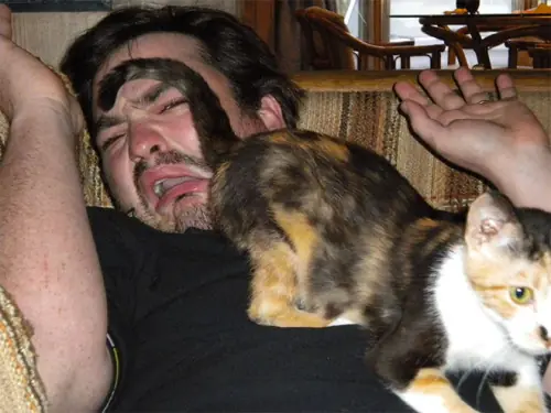 He visto peores fotos,de hombres con sus gatos.