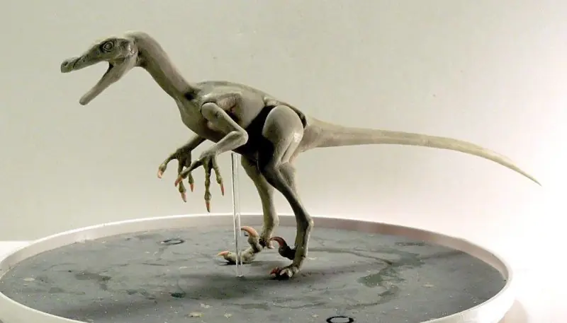 Hay muchas figuras de velociraptores, pero solo estas.. Hay muchas figuras de velociraptores, pero solo estas..
