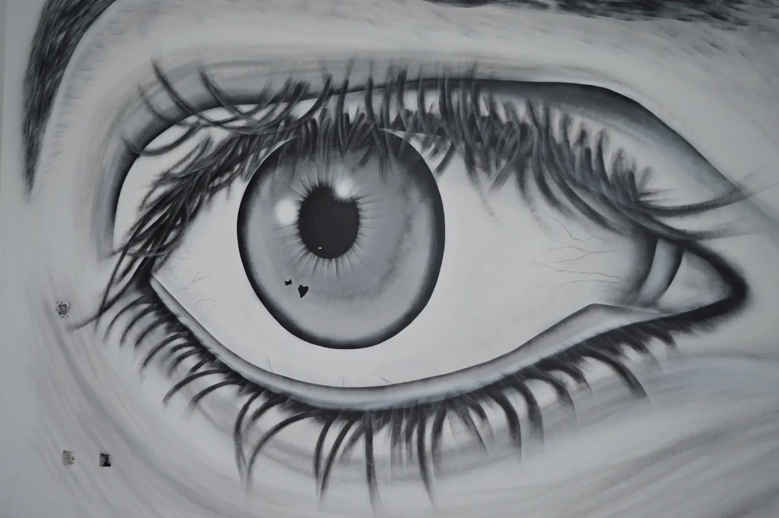ojo