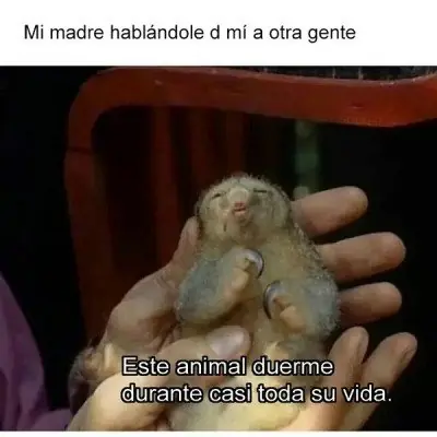 graciosas