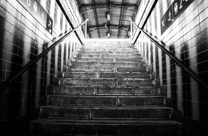 Fotografías propias - Nikon D3100 - 2