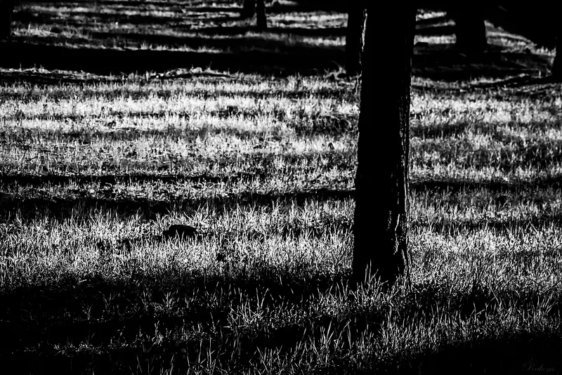 Fotografías propias - Nikon D3100 - 2
