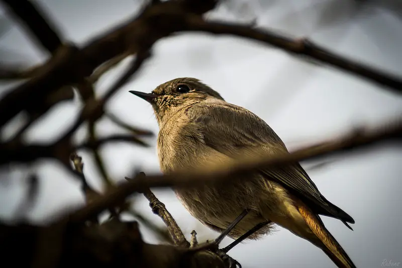 Fotografías propias - Nikon D3100 - 2