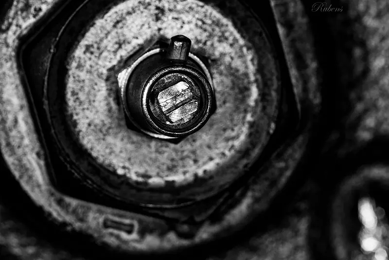 fotografias