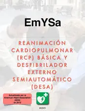 iBook: Rcp y Desa