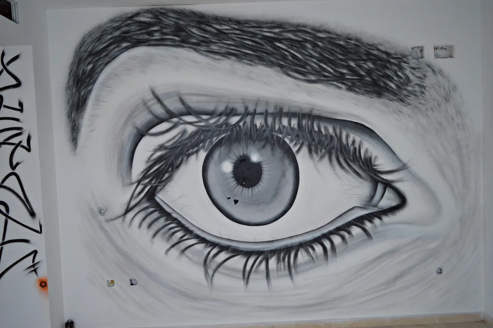 eyes