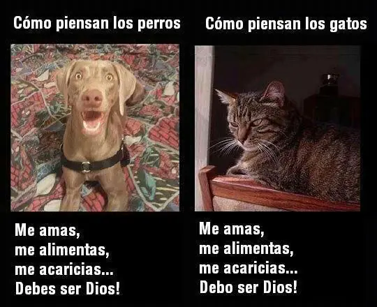 comicos