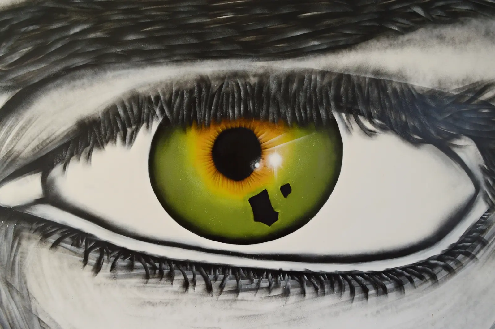 ojos