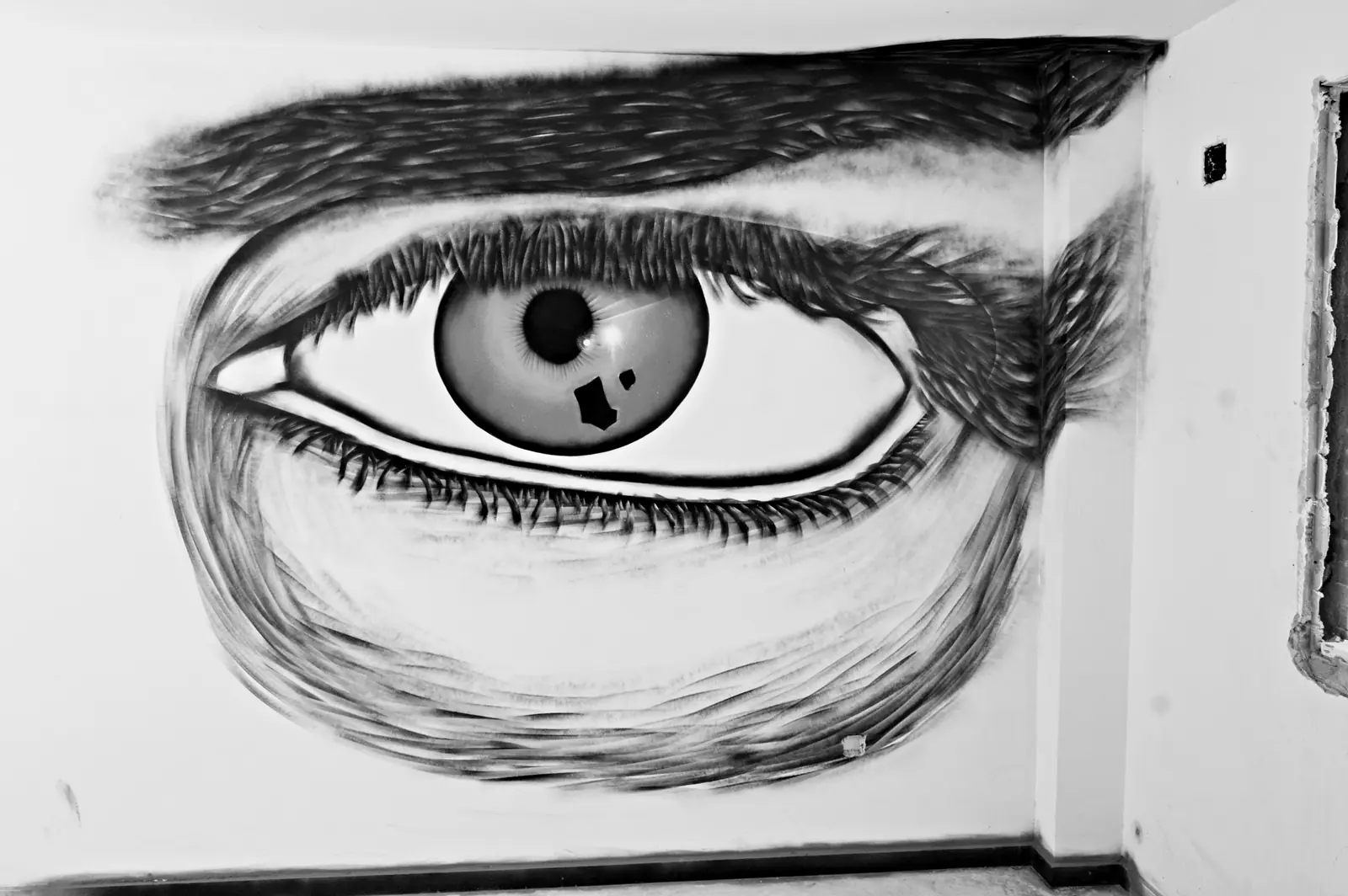eyes