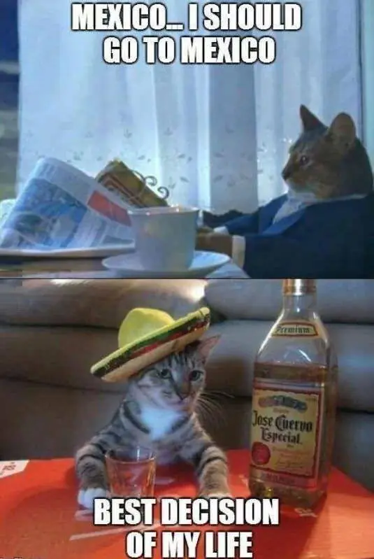 chistosos