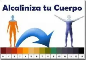Alcalinidad y Acidez en el cuerpo
