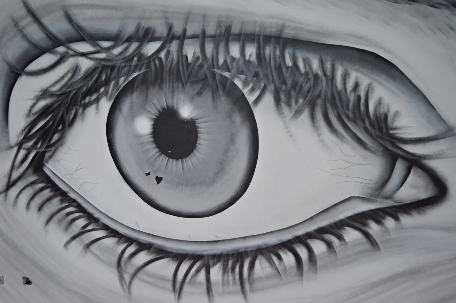 ojos