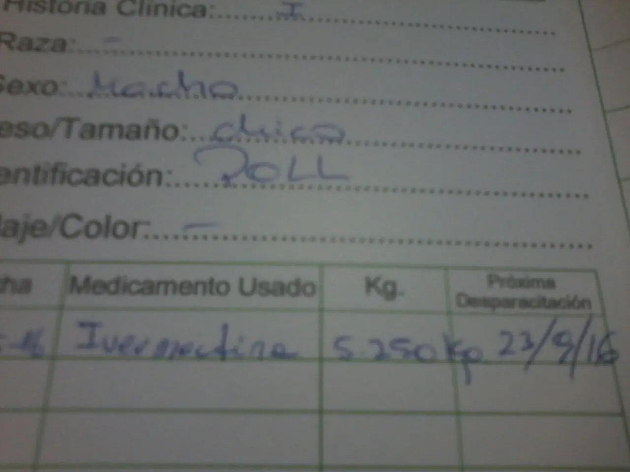 mochileros
