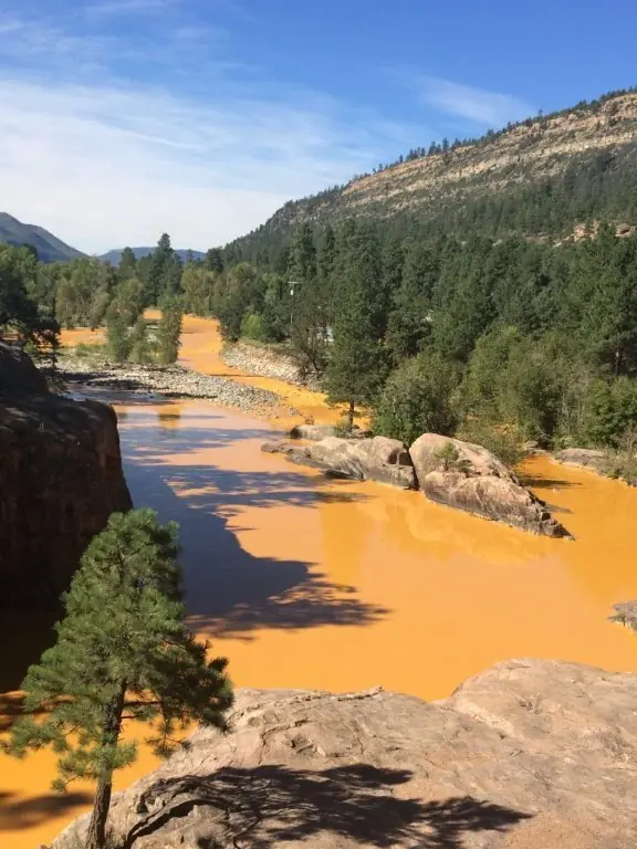 amarillo amarillo