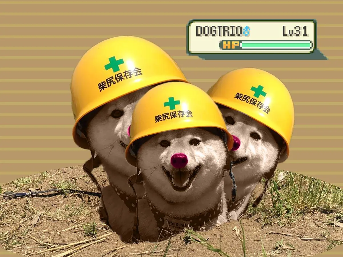 pug