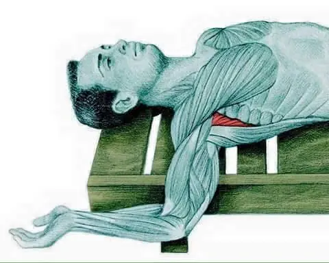 Entrenas? esto te va a servir