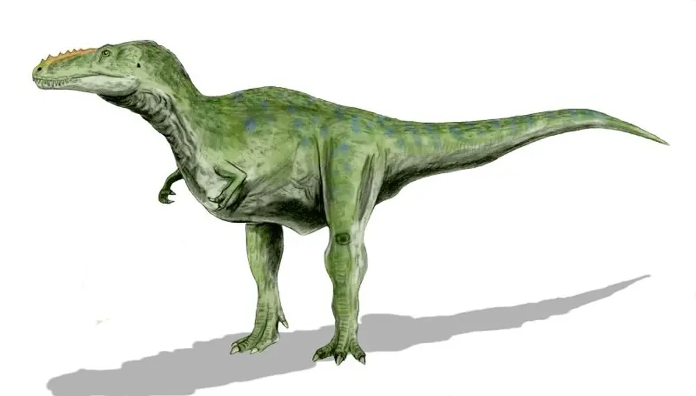 saurisquios