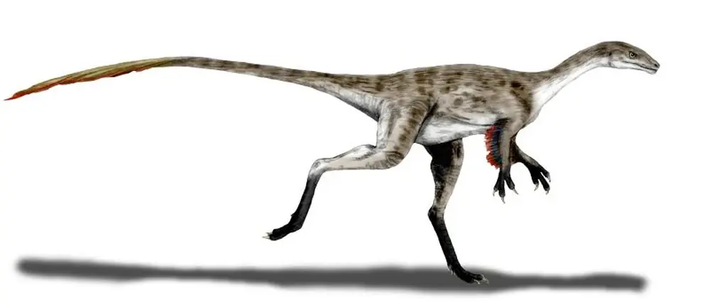 tiranosaurios