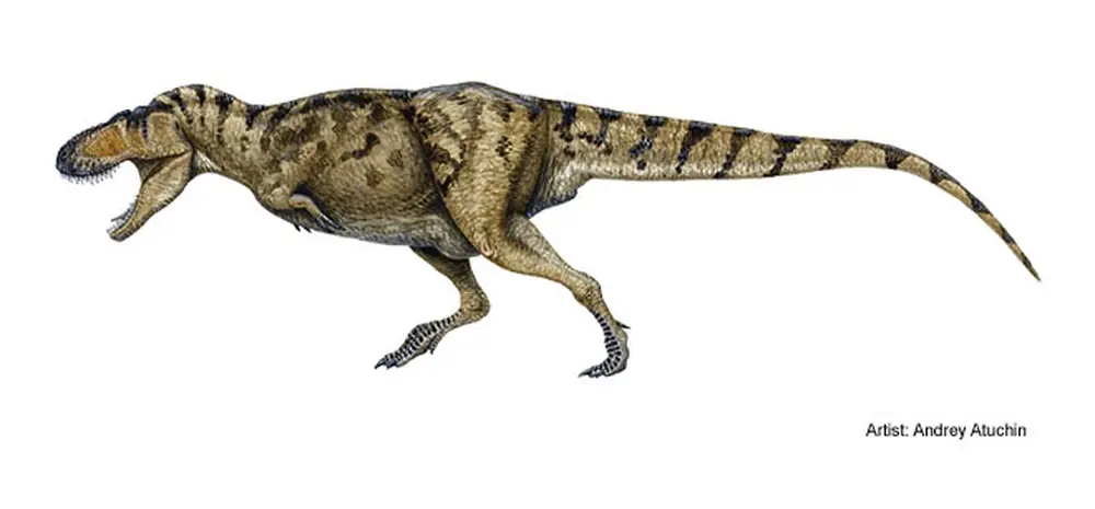 cretácico