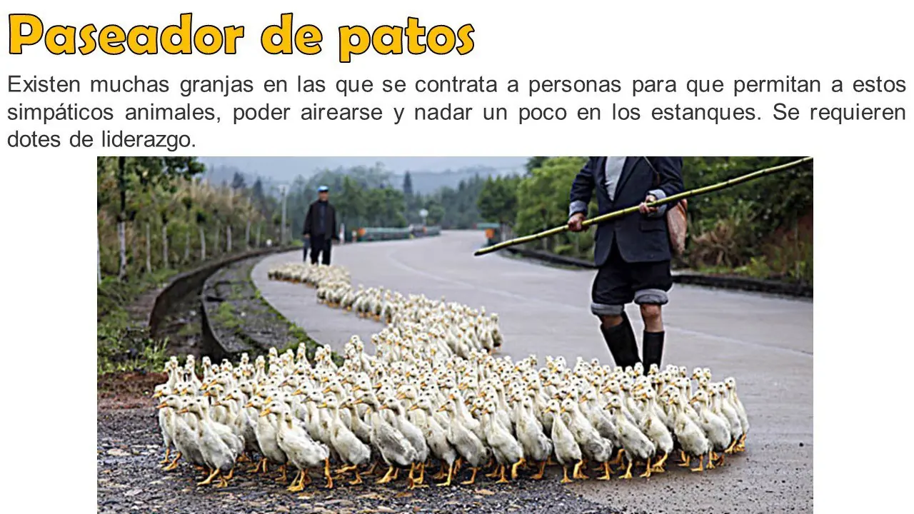 trabajos raros