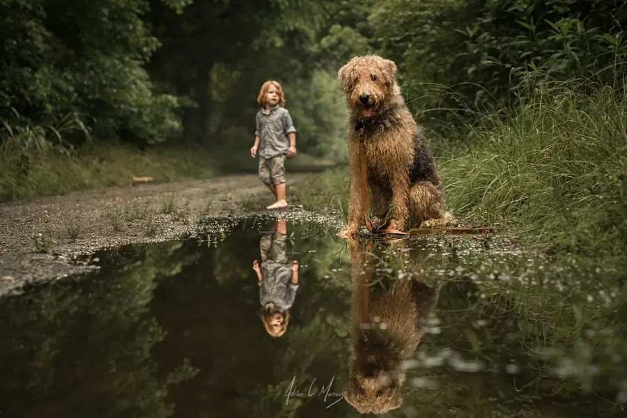 fotografias